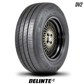Delinte DV2 