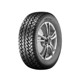 Fortune Bora FSR 302  Fortune Bora FSR 302