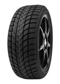 Delinte WD6 3PMSF